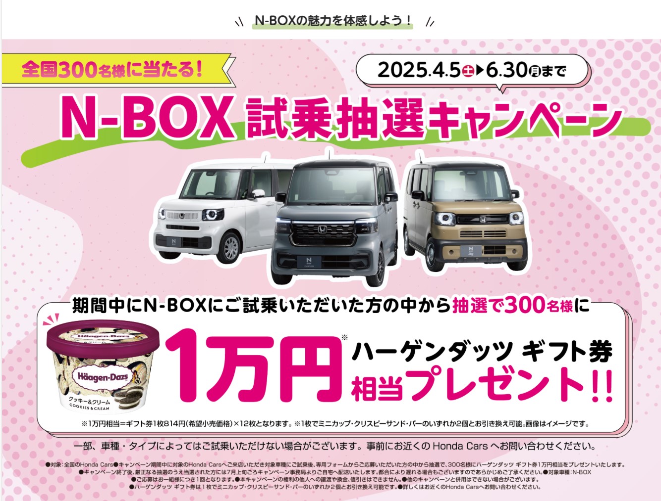 2025NBOXCP2